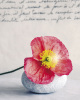Am�lie Vuillon art print