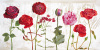 Val�rie Roy art print
