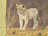Gwena�lle Trolez art print