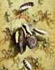 Alexander Selytin art print