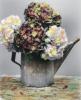 Eleanor Abraham art print