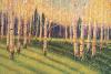Gary Max Collins art print