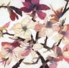 Jenni Christensen art print