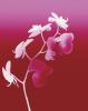 Nina Farrell art print