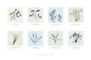Nina Farrell art print