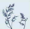 Nina Farrell art print