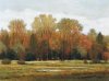 Shanna Kunz art print