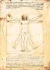 Leonardo da Vinci art print