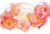 Shams, Saba Rasheed art print