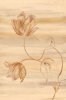 Shams, Saba Rasheed art print