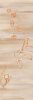 Shams, Saba Rasheed art print
