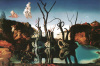 Salvador Dali art print