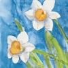 Giuseppina Tartagni art print
