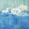 Isabelle Herbert art print