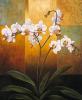 Jill Deveraux art print