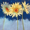 Nel Whatmore art print