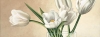 Eva Barberini art print