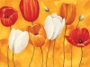 Maria Grazia Luffarelli art print