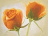 Massimo Valli art print