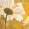Pierre Viollet art print
