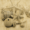 John Seba art print