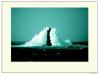 Philip Plisson art print