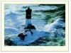 Philip Plisson art print