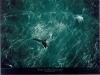 Yann Arthus-Bertrand art print