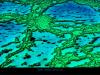 Yann Arthus-Bertrand art print