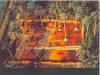 Yann Arthus-Bertrand art print
