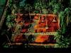 Yann Arthus-Bertrand art print