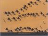 Yann Arthus-Bertrand art print