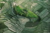 Yann Arthus-Bertrand art print