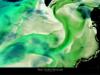 Yann Arthus-Bertrand art print