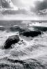Guillaume Plisson art print