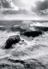 Guillaume Plisson art print