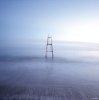 Guillaume Plisson art print