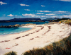 Frank Colclough art print