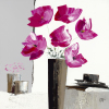 Bernard Ott art print