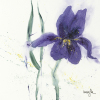 Marthe art print