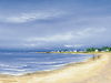 Fr�deric Flanet art print