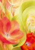 Annette Schmucker art print