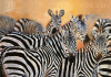 Danielle Beck art print