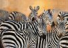 Danielle Beck art print