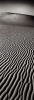 Helmut Hirler art print