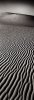 Helmut Hirler art print
