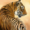 Danielle Beck art print
