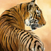 Danielle Beck art print