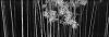 Helmut Hirler art print