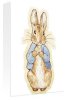 Beatrix Potter art print